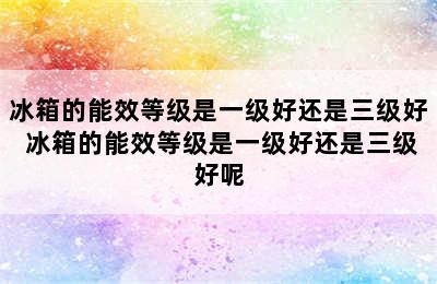 冰箱的能效等级是一级好还是三级好 冰箱的能效等级是一级好还是三级好呢